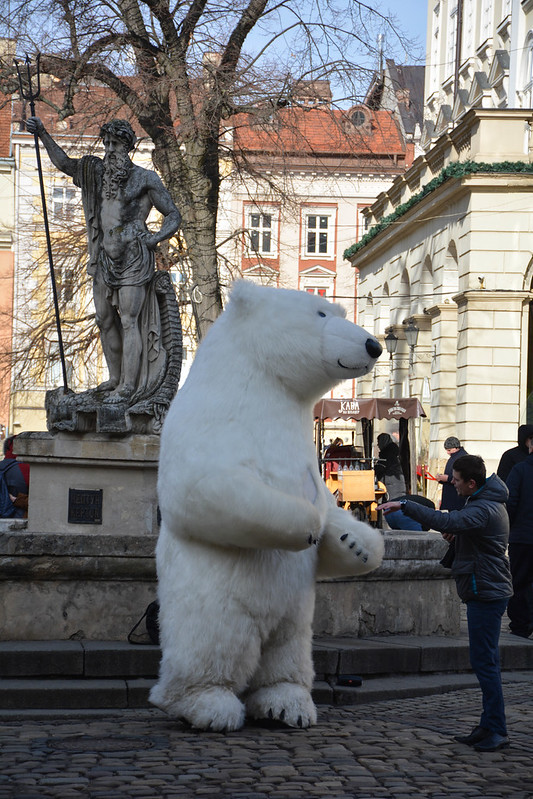The Polar Bear Dance<br/>© <a href="https://flickr.com/people/34419196@N07" target="_blank" rel="nofollow">34419196@N07</a> (<a href="https://flickr.com/photo.gne?id=50419981112" target="_blank" rel="nofollow">Flickr</a>)