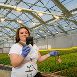 Co-owner Mary Cove of hydroponic Blue Thumb Farms