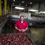 Sweet potato exporter Jose “Pepe” Calderon