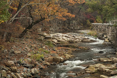 South Korea:  Autumn At Tongdosa Creek    (in Explore 10/13/2020)