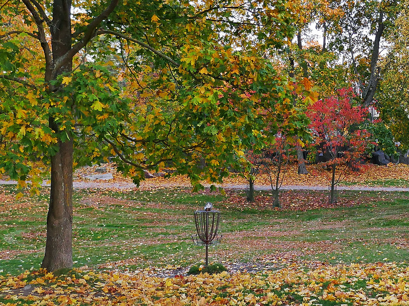 Urban park disc golf practice basket in autumn, Sibelius Park downtown Helsinki<br/>© <a href="https://flickr.com/people/19054742@N00" target="_blank" rel="nofollow">19054742@N00</a> (<a href="https://flickr.com/photo.gne?id=50491073627" target="_blank" rel="nofollow">Flickr</a>)
