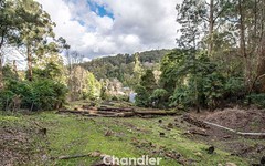 15 Forest Road, Belgrave VIC