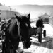 A horse cart somewhere in Romania