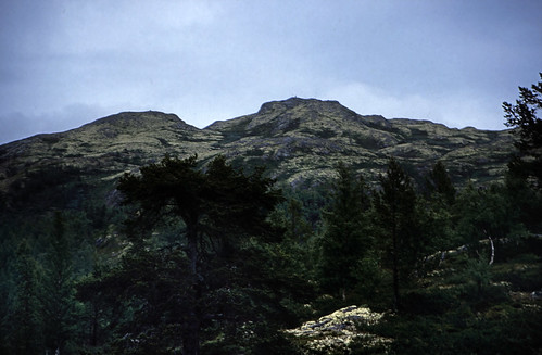 Norwegen 1998 (749) Rondane Høyfjell • <a style="font-size:0.8em;" href="http://www.flickr.com/photos/69570948@N04/50501095436/" target="_blank">Auf Flickr ansehen</a>