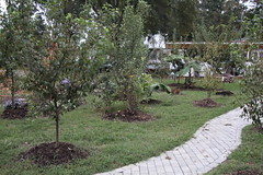 Broad Rock Community Garden