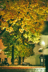 Autumn | Kaunas #295/365