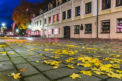 Leaves | Kaunas old town #296/365