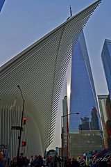 The Oculus & Freedom Tower One 1 WTC World Trade Center Lower Manhattan New York City NY P00691 DSC_2693