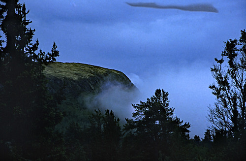 Norwegen 1998 (751) Rondane Høyfjell • <a style="font-size:0.8em;" href="http://www.flickr.com/photos/69570948@N04/50532326387/" target="_blank">Auf Flickr ansehen</a>