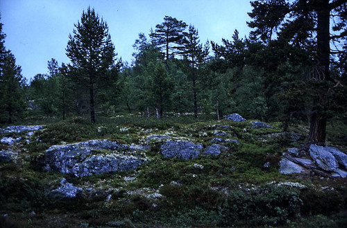 Norwegen 1998 (755) Rondane Høyfjell • <a style="font-size:0.8em;" href="http://www.flickr.com/photos/69570948@N04/50532332687/" target="_blank">Auf Flickr ansehen</a>