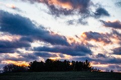 POTD 307-2020
