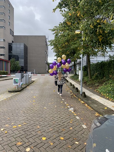 Heliumballonnen Erasmus Universiteit Kralingen Rotterdam