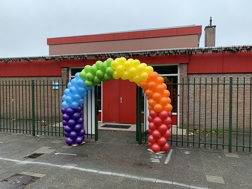 Ballonboog 6m Regenboog Basisschool Op Dreef Spijkenisse