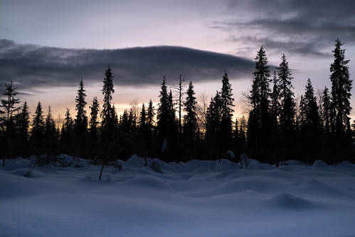 Waves of Snow in the Lapland Fell Region