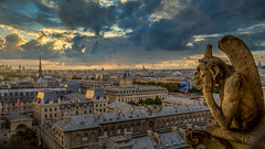[Explore 11/11/20 #10] La stryge - Notre Dame de Paris
