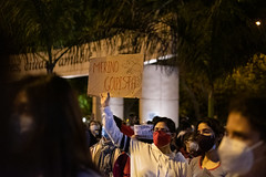 Protests in Miraflores - November 14