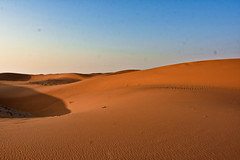 Sands of al-Dahna, eastern Saudi Arabia (6)