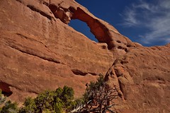 A Color Contrast Between Sandstone and Blue Skies (Arches National Park)