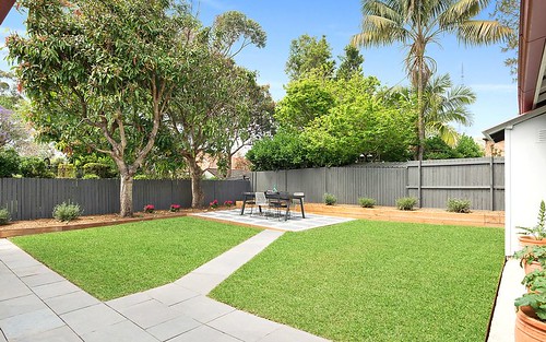 36 Penkivil St, Willoughby NSW 2068