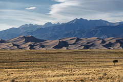 Welcome to Great Sand Dunes National Park!