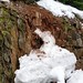 Snow-melt erosion