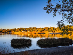 2020-329 Atascadero Lake