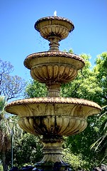 330/366 The fountain opposite Grey Street on the east side of the Fitzroy Gardens and known simply as the "Grey Street" fountain is one of the oldest fountains to be found in Melbourne