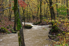 An Unnamed Stream with Storm Waters