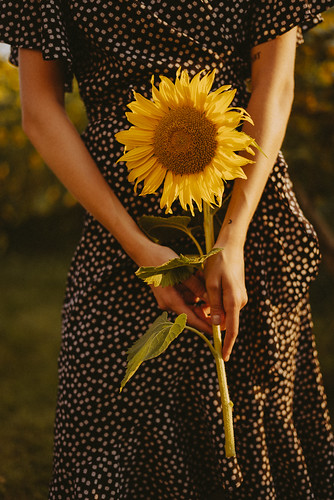 Sunflower Eve