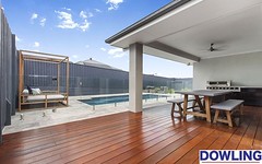 62 Dragonfly Drive, Chisholm NSW