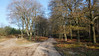 20201129_140833_Trage Tocht Hoenderloo • <a style="font-size:0.8em;" href="http://www.flickr.com/photos/22712501@N04/50660279313/" target="_blank">View on Flickr</a>