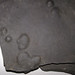 Black shale with concretions (Ohio Shale, Upper Devonian; Lazarus Run, Delaware County, Ohio, USA) 3