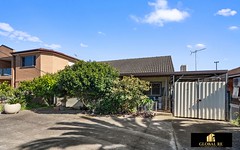 29 Barlow Crescent, Canley Heights NSW