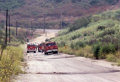 Division Brush Drill 1980