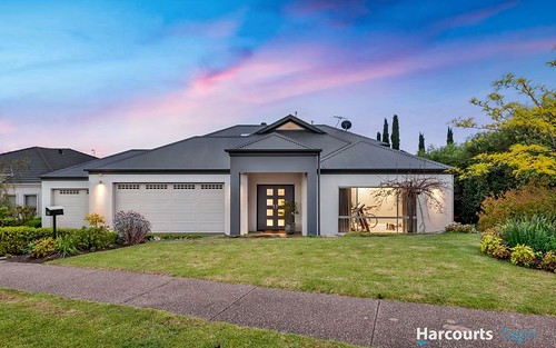 13 Coulter Street, Flagstaff Hill SA