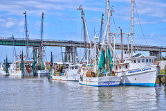 Boats at the Old Fish Dock - Lazaretto Creek - Tybee Island, Georgia