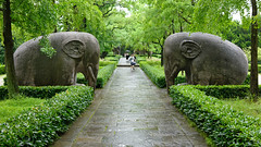 Seated elephants on the Elephant Road, part of the sacred way