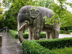 Standing elephant on the Elephant Road, part of the sacred way