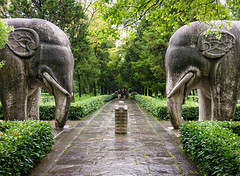 Standing elephants on the Elephant Road, part of the sacred way