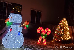 December 20, 2020 - Holiday decorations in Thornton. (LE Worley)