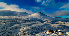Looking upto Lochnagar, For the Sharp Eyed there is around 8 People in this Pic...Rm , I know u like a Photograph Challnge ..