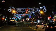 Bell Boulevard Lights