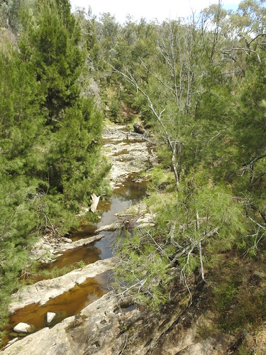 Groves Creek