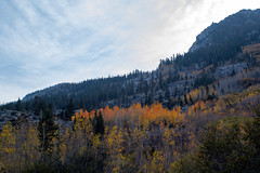 Bishop Creek Canyon