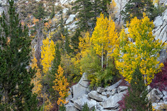 Bishop Creek Canyon