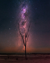 Summer Milky Way at Nambling Lakes - Dowerin, Western Australia