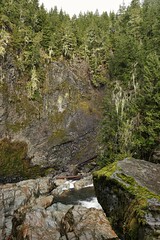 Mossy cliff | Falaise et lichen