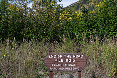 End of the Road! (Denali National Park & Preserve)