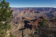 The First Time Ever I Saw Your Canyon! (Grand Canyon National Park)