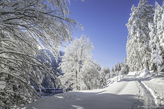 Winter Weißenbach am Lech